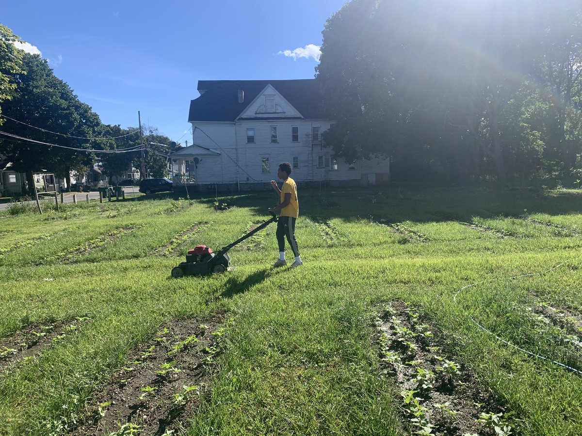 visions_green's tweet photo. Work continues at Smith and Whitney! Our garden keeps on growing!!
•
•
•
#greenvisions #greentopia #garden #urbangarden #gardening #flowergarden #flower #flowercity #rochester https://t.co/P0hvKXdCgR