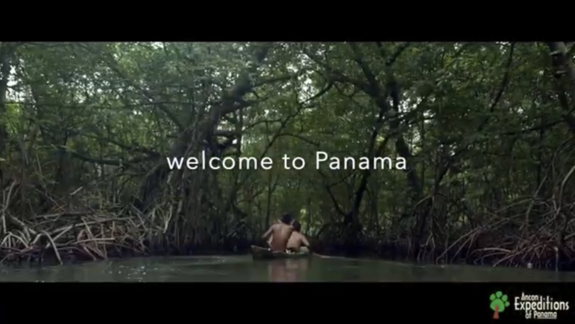 Ready to escape? 

youtu.be/THfgy3qpsro

Welcome to #Panama #discoveredbynature #travelwith
@Virtuoso @WildTravel @NatGeo @lonelyplanet @Cienfue @IvanEskildsen @visitpanama