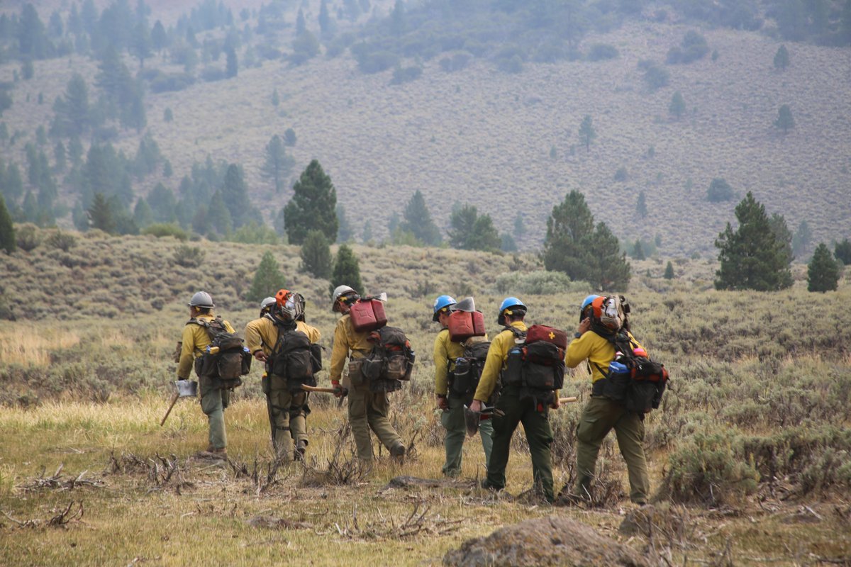 forestservice's tweet image. USDA Forest Service Wildland Firefighters from Engine 431 hike to the northwest side of the #SlinkFire in the @HumboldtToiyabe, three miles west of Coleville, Nevada. A total of almost 650 personnel continue working to suppress this fire, now at 36% containment.