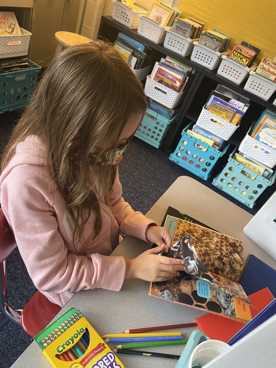 kayleyheeter's tweet photo. finding our “just right books!” 📚 https://t.co/jeLmPkVw1U