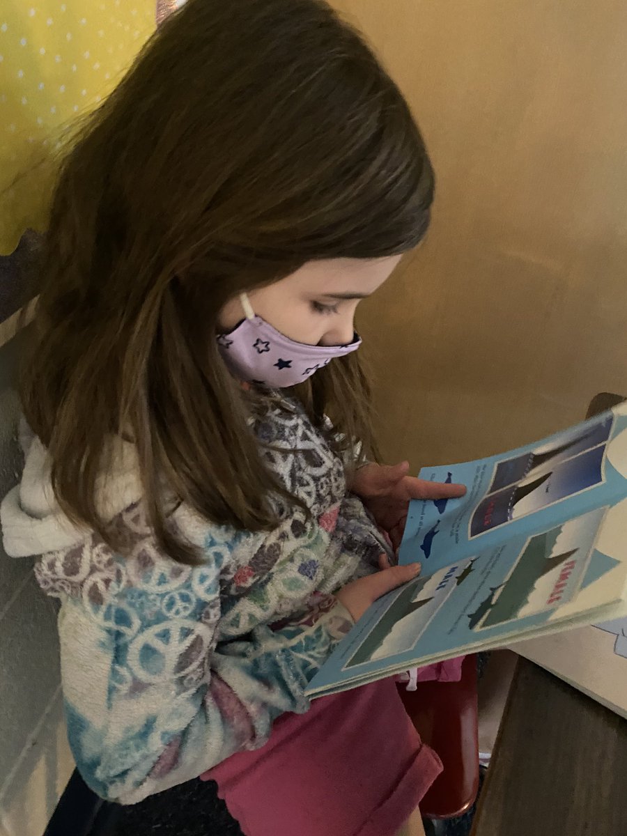 kayleyheeter's tweet photo. finding our “just right books!” 📚 https://t.co/jeLmPkVw1U