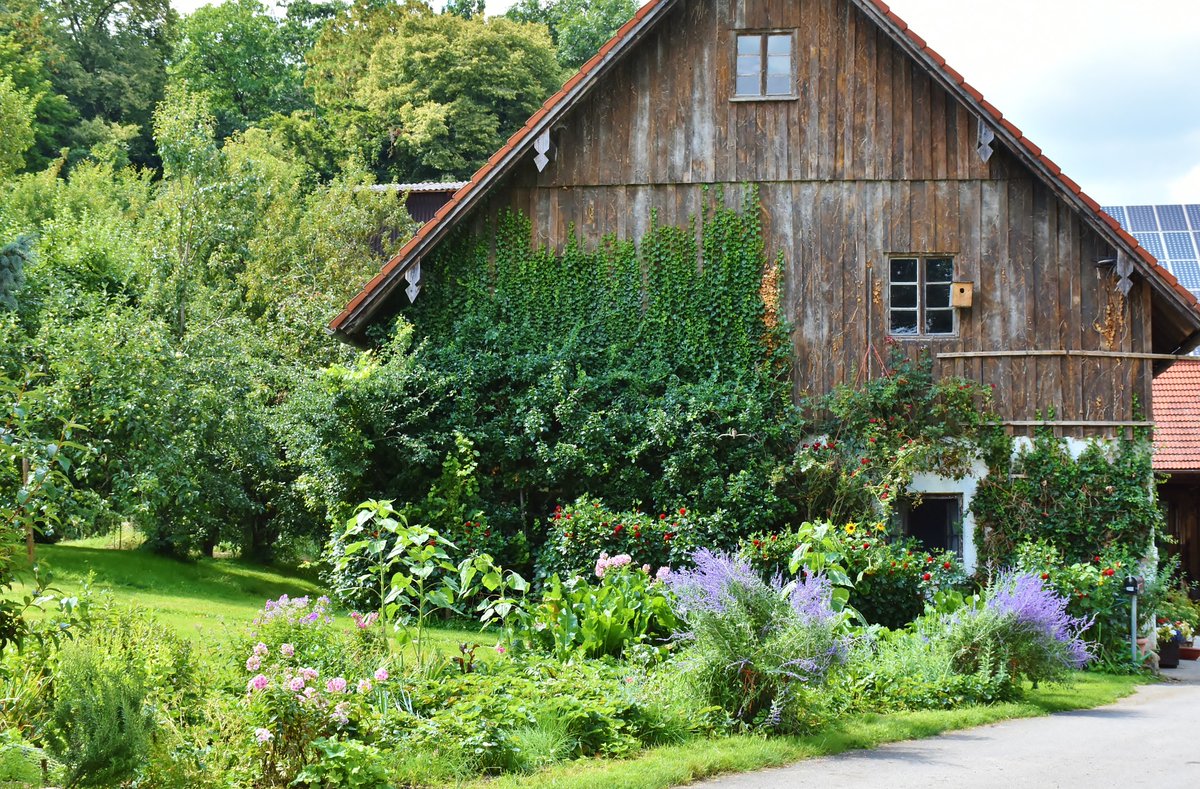 youngagrarians's tweet photo. The B.C. Land Matching Program offers personalized land matching support to farmers looking for land, and landowners looking for someone to farm their land.
Learn more: Email land@youngagrarians.org or visit https://t.co/BRFzb9uX74
#bclmp #growbc #bcagri https://t.co/OAeioEhdUT