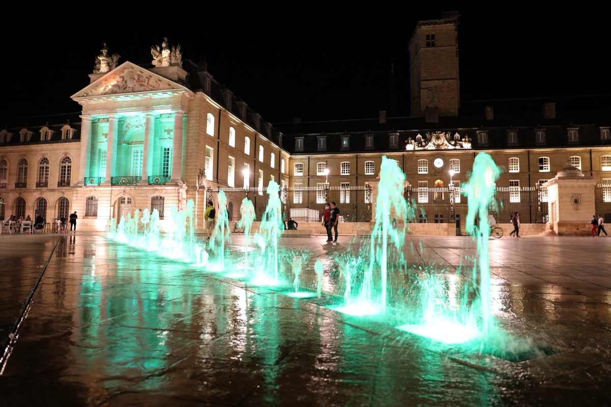 💚 Plus qu'un mois avant la soutenance qui permettra à la commission européenne de déterminer qui, de Dijon, Grenoble, Turin ou Tallinn sera nommée Capitale Verte Européenne 2022. 30 jours pendant lesquels #Dijon a souhaité illuminer ses bâtiments emblématiques de vert.
