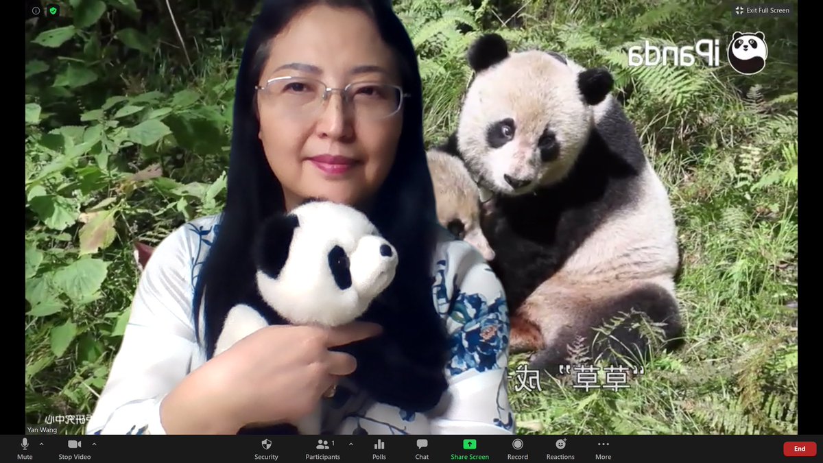 Yan Wang@wanglaoshi tweet media