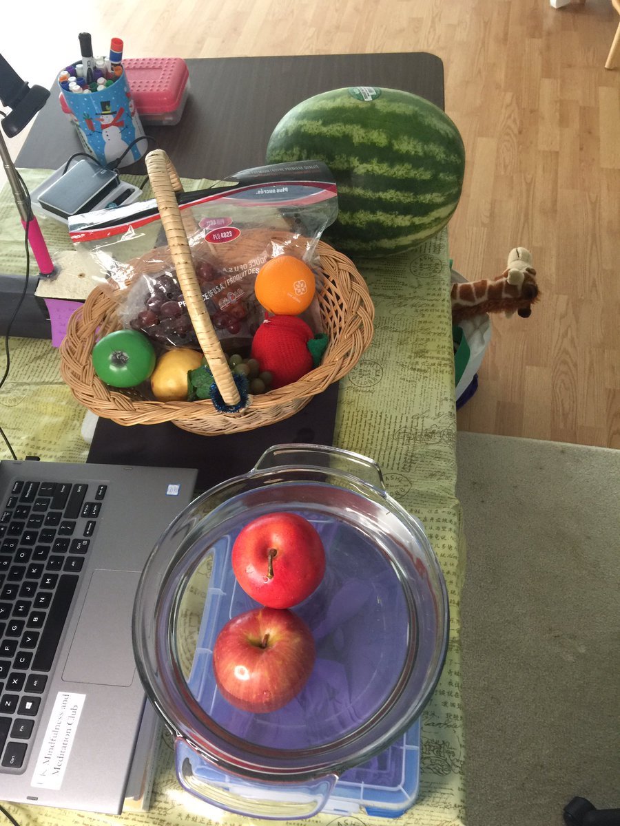 It is a lot fun to use the virtual backgrounds with zoom lesson. Asked the kids to guess which fruit is real, and put the fruits in water to determine if it is real. The kids were very excited about the lesson.#virtuallearning #virtualbackgrounds #integration