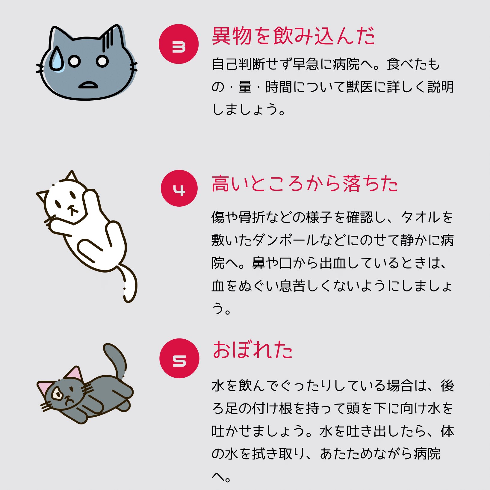 猫ねこ部 公式 9月9日は救急の日 思いがけない事故が起きたり大きな怪我をしてしまったときのために 応急処置の方法を知っておくと 夜間や休日のかかりつけの動物病院の対応や連絡方法なども調べておき いざというときに慌てないようにしましょう