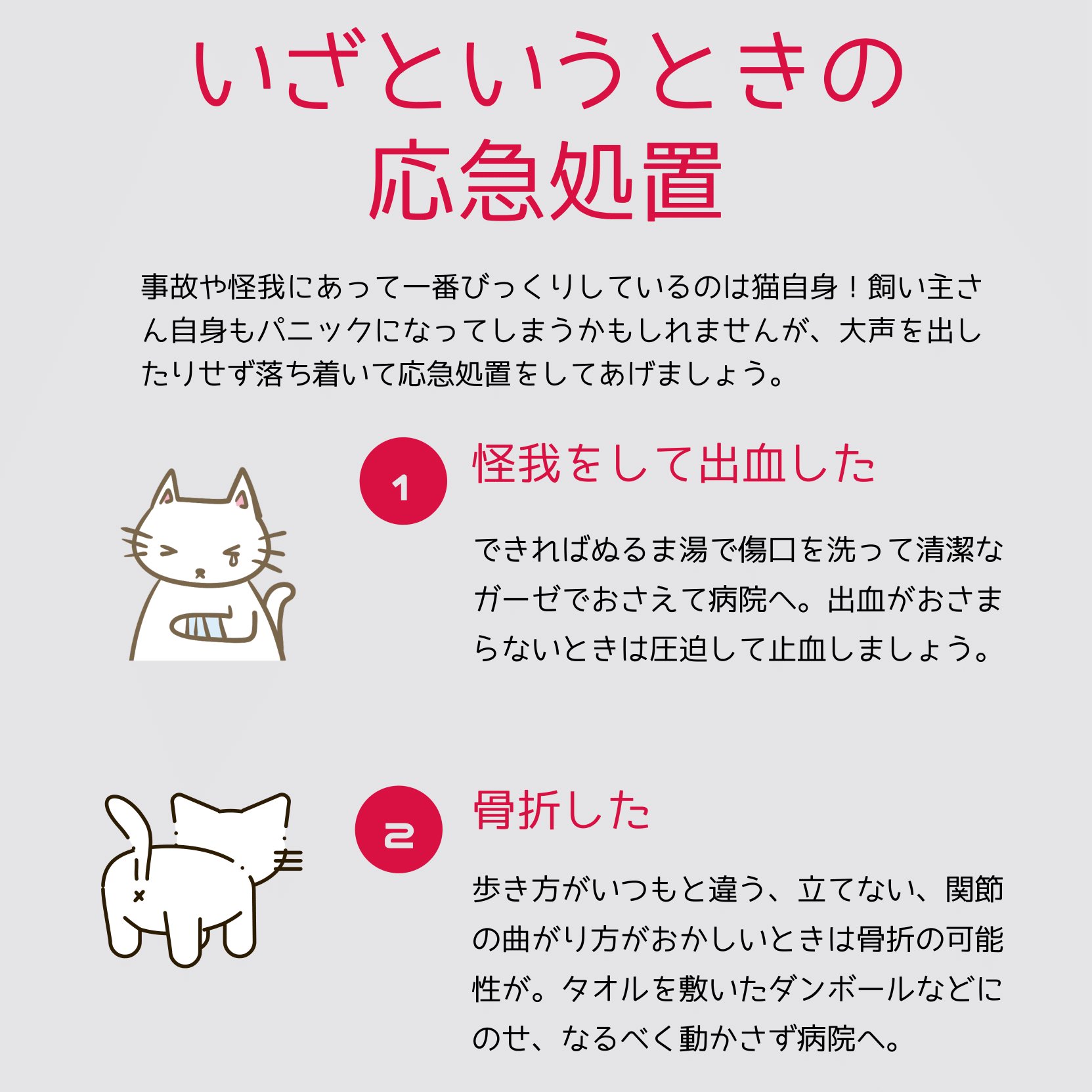 Twitter 上的 猫ねこ部 公式 9月9日は救急の日 思いがけない事故が起きたり大きな怪我をしてしまったときのために 応急処置の方法を知っておくと 夜間や休日のかかりつけの動物病院の対応や連絡方法なども調べておき いざというときに慌てないようにしま Twitter 上的 猫ねこ部 公式 9月9日は救急の日 思いがけない事故が起きたり大きな怪我をしてしまったときのために 応急処置の方法を知っておくと 夜間や休日のかかりつけの動物病院の対応や連絡方法なども調べておき いざというときに慌てないようにしま