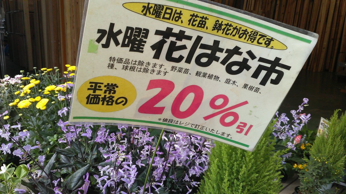 ホームセンターウッディ 事務所 ウッディ南館では本日は 水曜花はな市 を開催しております 花苗や鉢花が平常価格の 引きです 特価品 野菜苗 観葉植物 庭木 果樹苗 球根などは除きます