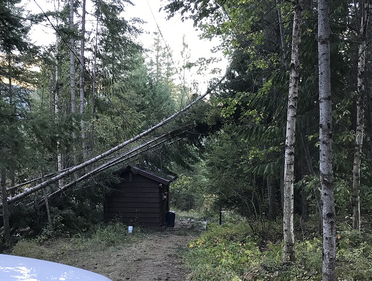 FortisBC's tweet photo. Service update: Power back for #KalsoBC and soon for #CrawfordBay & #SlocanValley. Some pockets will remain out overnight in these areas & in #CrestonBC. Crews will keep working overnight to remove trees. #bcstorm. Updates here https://t.co/jprvKMeNC1 https://t.co/mcAGnfNGF0