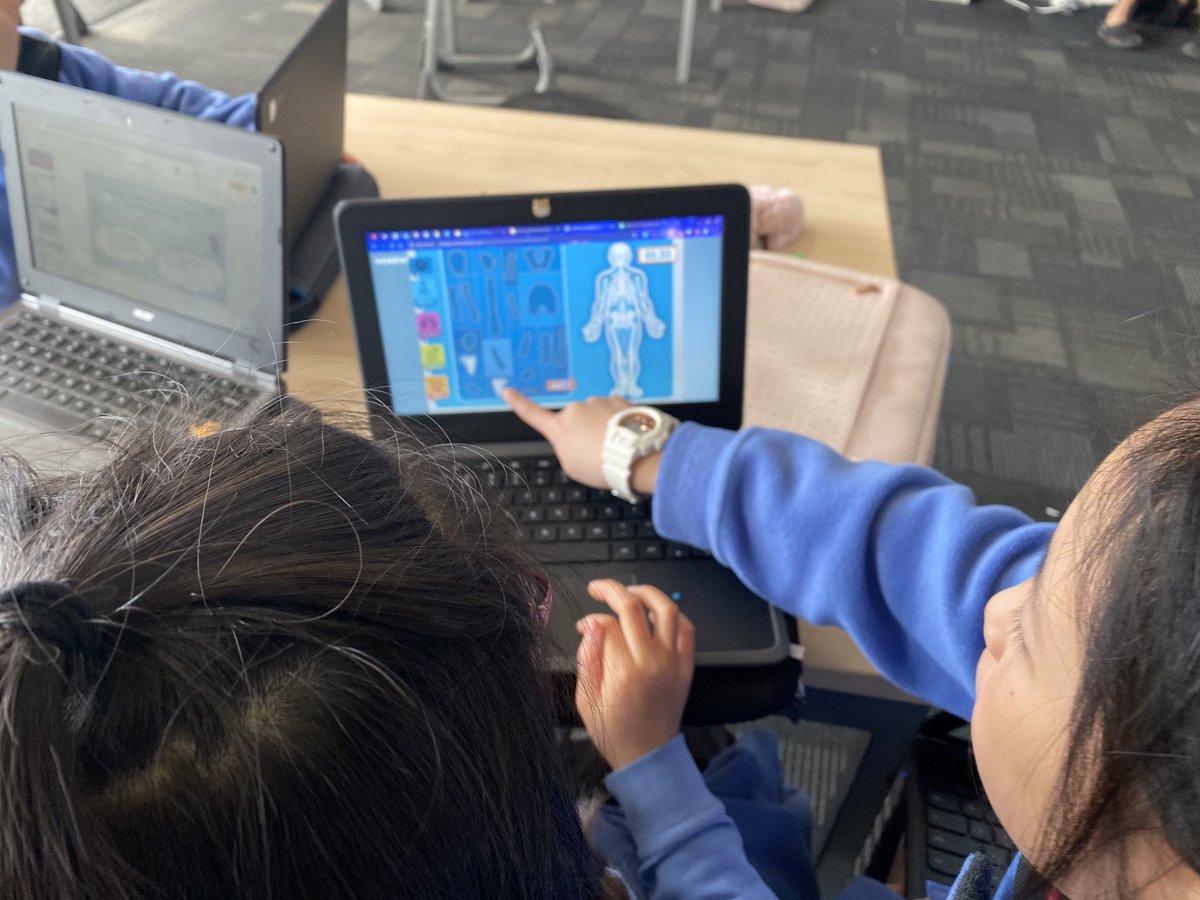 So wonderful to see how enthusiastic our Year 5 &amp; 6 learners were when exploring the skeleton-muscular system! #buildknowledge #explore #humanbiology ⁦<a href="/StonefieldsSch/">Stonefields School</a>⁩
