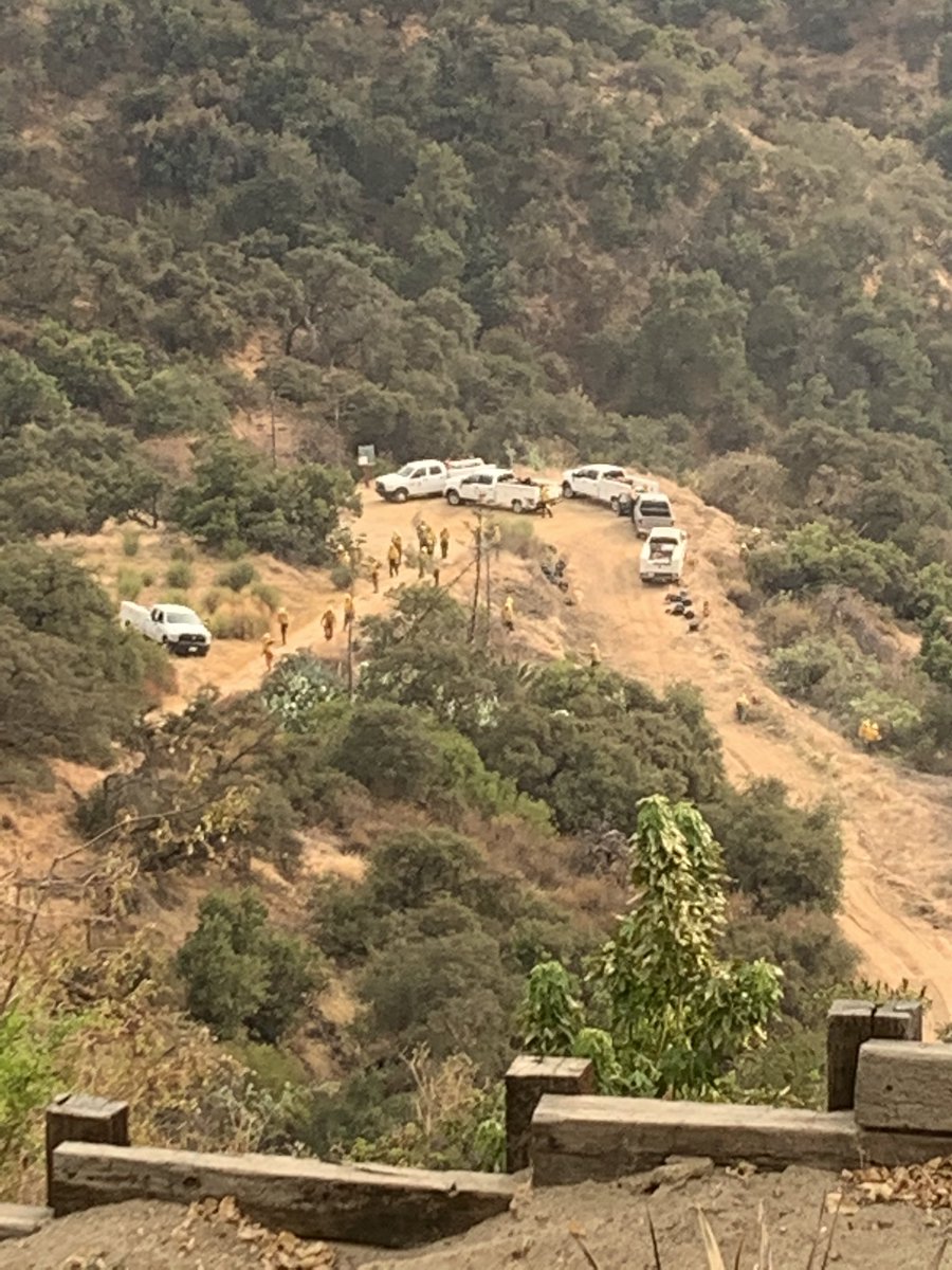 Ground Crews working the fire road in Monrovia Hillside Wilderness Preserve in preparation for the  #BOBCATFIRE