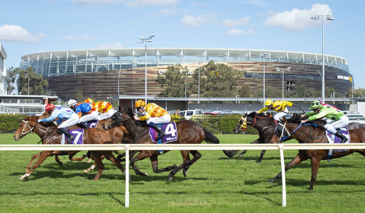 PerthRacing's tweet photo. 🆕 @JordanRolfe10 will saddle his first runner when Peko, the @TAB_touch Better Your Bet Handicap competitor which has attracted the best support, lines up at free-to-enter #BelmontPark Perth on Wednesday
📷 @WesternRacepix
📰 https://t.co/C7cnL5Wmcx
🎰 https://t.co/cBMiaG4WSp https://t.co/WcJynTdArX