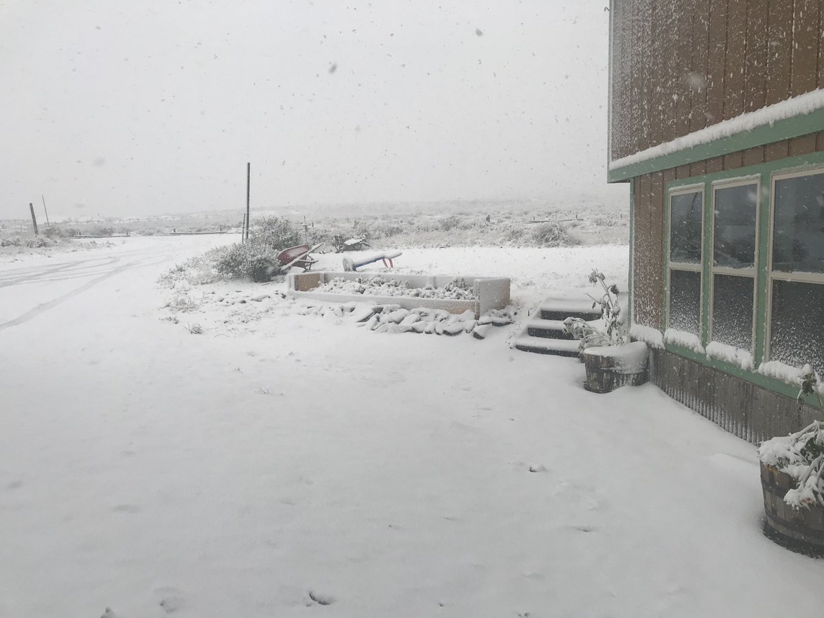 Jim Woytek tweet media