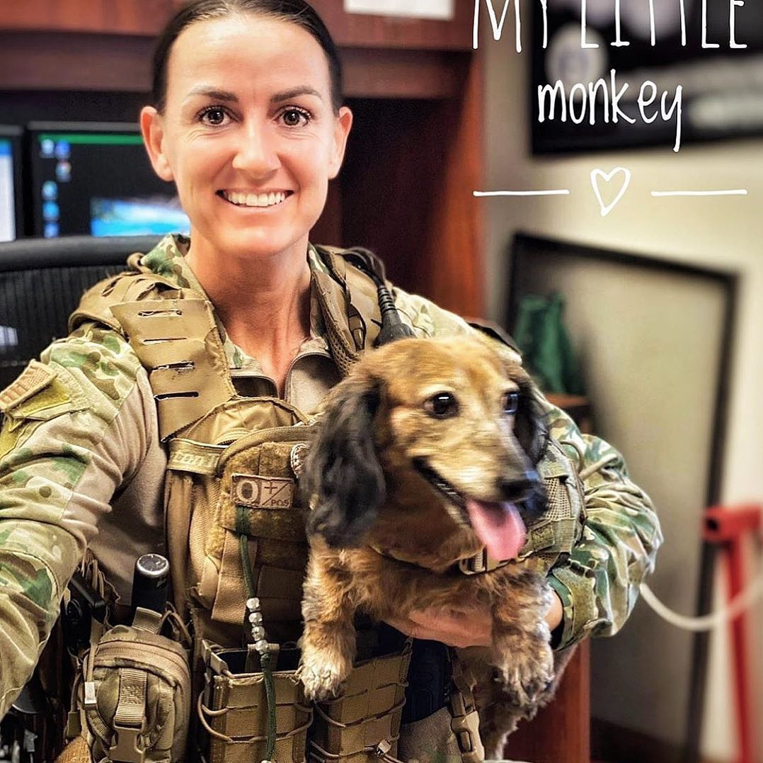 kiloninerpets's tweet photo. Sadie, it's fun to carry out missions with mom🐶
Customization for classic harness ''Compact K9 Dog MOLLE Vest''🐕 https://t.co/fo4lz3yx5J