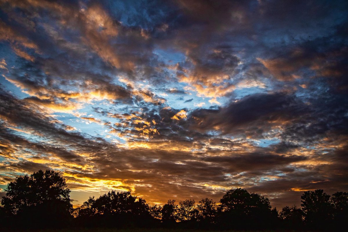 Ronnie Prcin tweet media