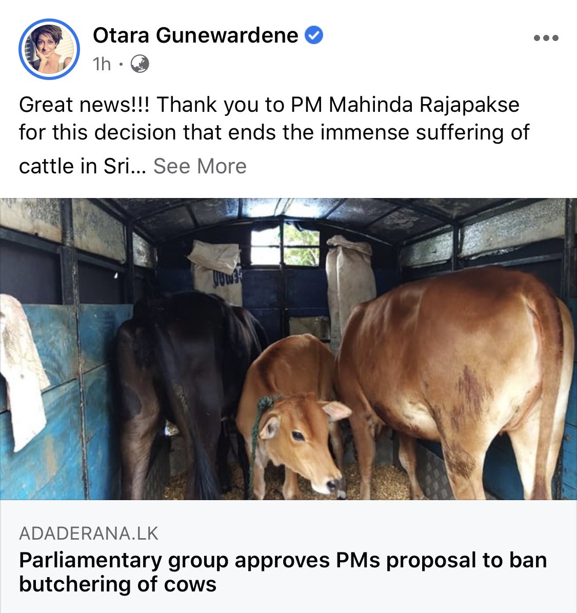 subasinghe2020's tweet photo. hypocrite￼ ටයිටල් එක, අදාළ "නොවන" පින්තූරයක් ඕන්... පිටරට හරක් අපේ නෙවෙයි ඒවා Slaughtering නෙවෙයි, පව් අරික් කාලක්වත් නෑ, අපිට අදාළ නෑ....￼ https://t.co/yIPXN4cnzI