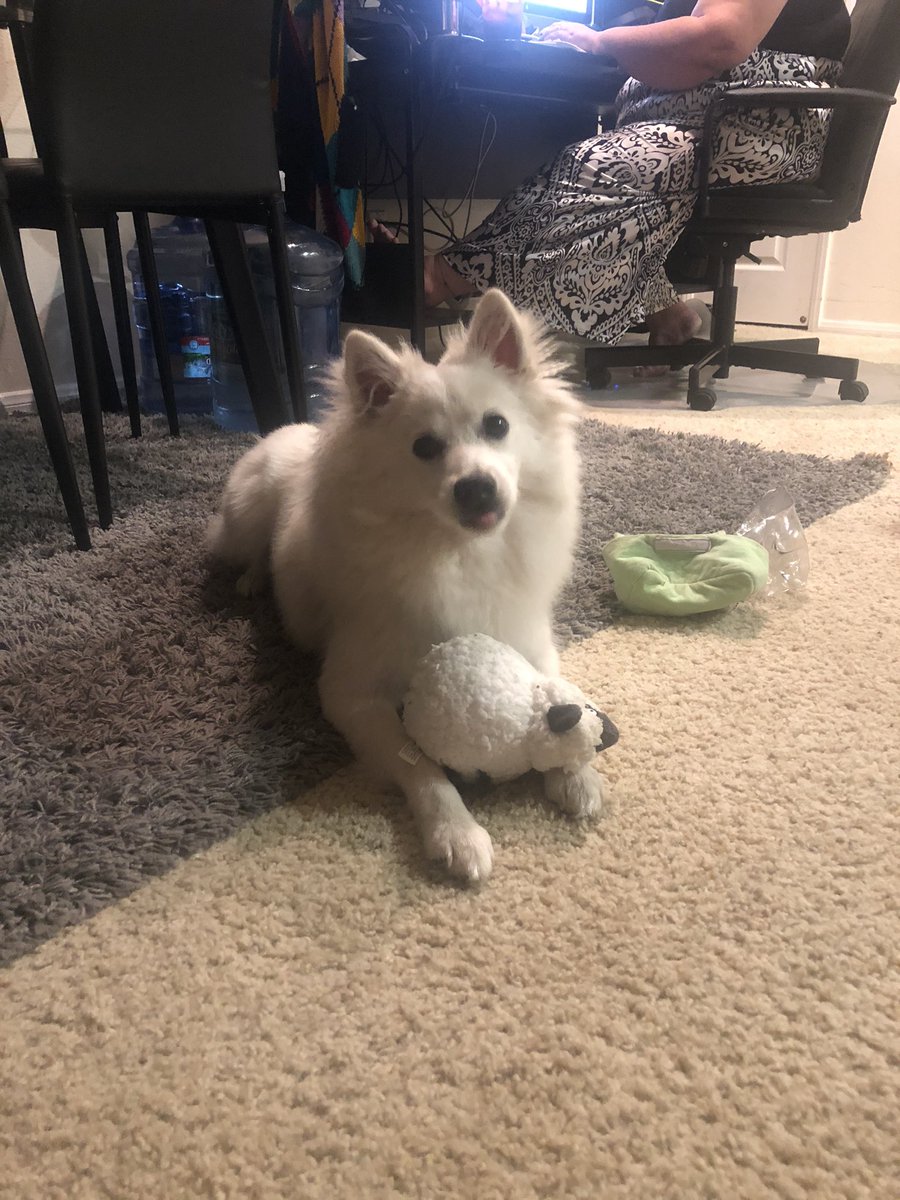 souloswa's tweet image. No stream tonight feeling sick, here is a pic of Odin