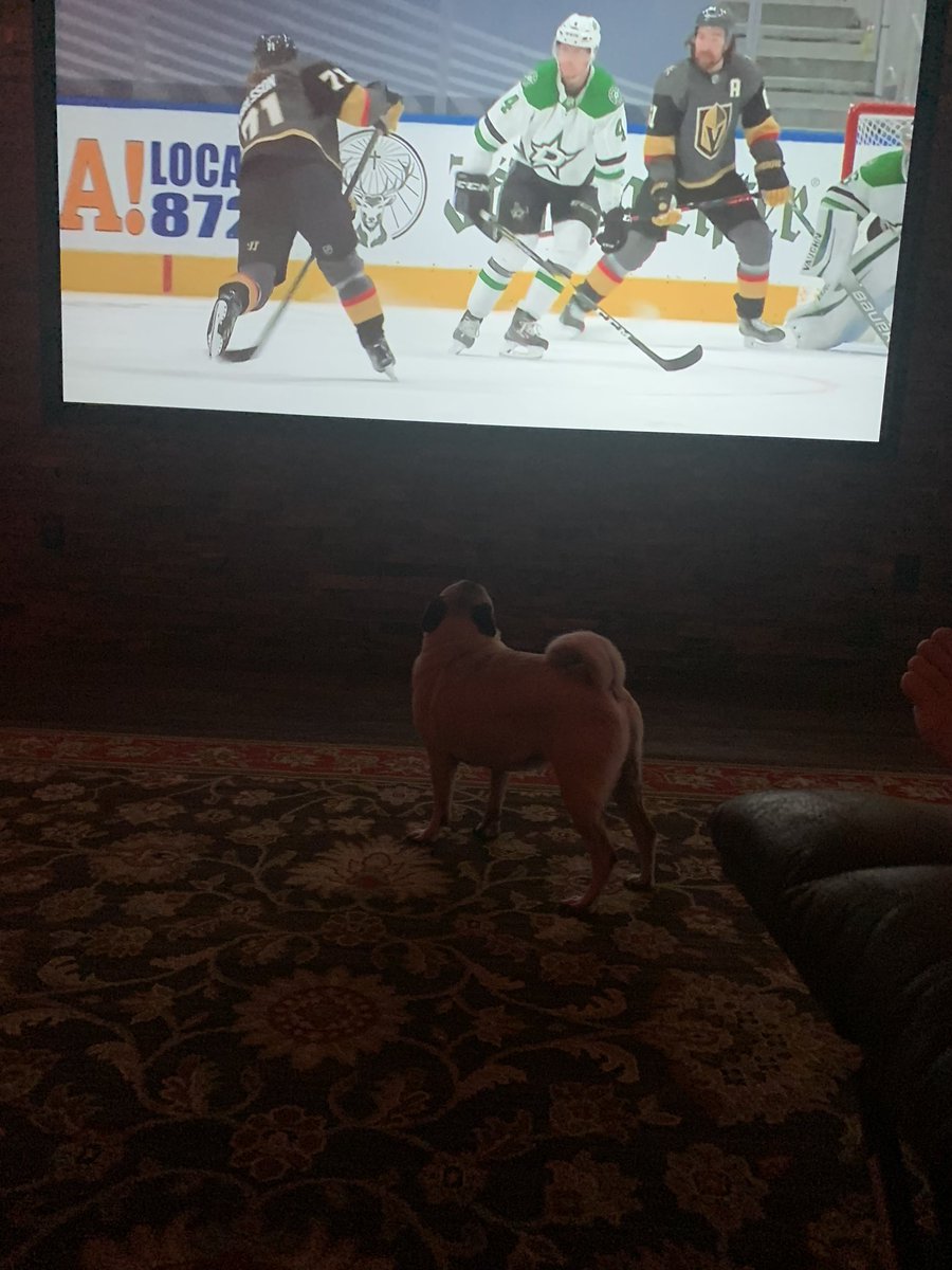 Dan Barnson tweet media