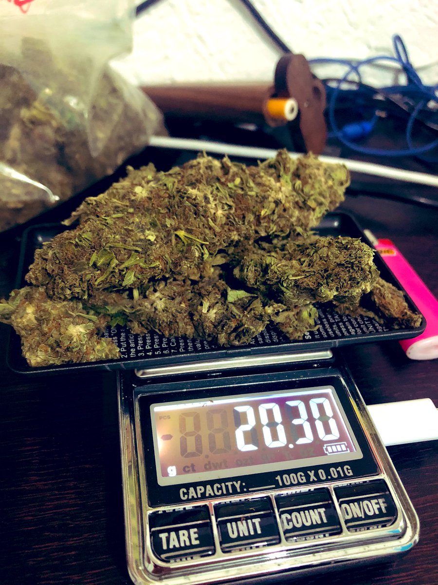 Kaoru 大麻栽培中 これが逮捕当時所持していたとされる 3gの乾燥大麻の量 ボクの持ってるカスネタと違って伊勢谷友介さんはもっと良いネタを吸っていた んだろう と思うと感慨深いな あんな超高学歴イケメンと共通の趣味があるとか まじで嬉しいんです