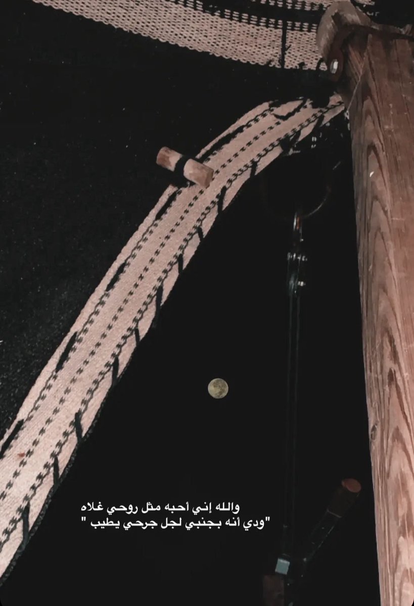 ((( M alanazi ))) tweet media