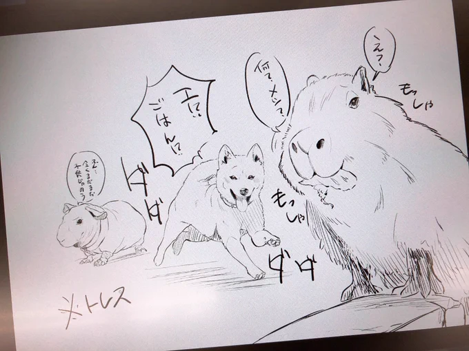 学校の課題で動物描いてるんだけどどうしても……うん…こういう会話させたくなるねんな……
写真トレス 