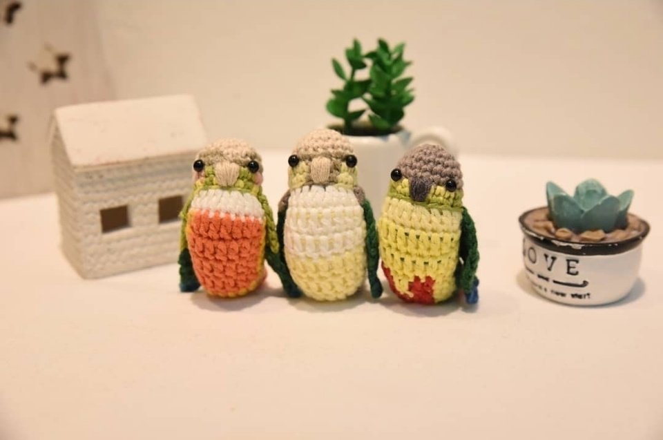 서로 다른 코뉴어들💕

#코뉴어 #앵무새 #뜨개 #tricot 
#파인애플코뉴어 #parrot #conure #옐로사이드코뉴어  #키링