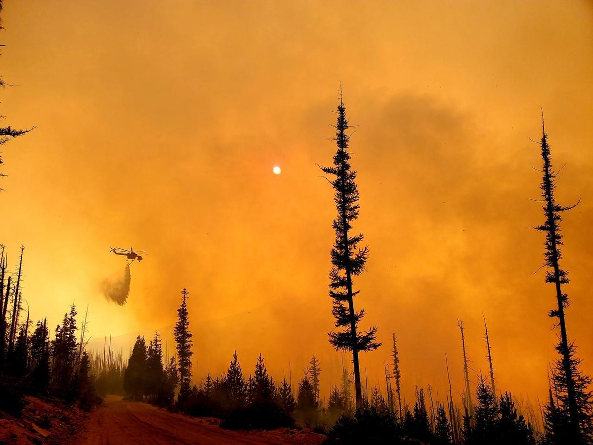 FEMARegion10's tweet image. We've approved the state of #Oregon’s requests for Fire Management Assistance Grants for the #TwoFourTwoFire &amp;amp; the #BeachieCreekFire #LionsheadFire Complex (which includes Mad Hatter &amp;amp; Wilhort Fires)

fema.gov/press-release/…

fema.gov/press-release/…

📷Lionshead fire @inciweb 9/2
