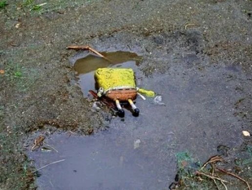 This is exactly what I’m doing at this moment