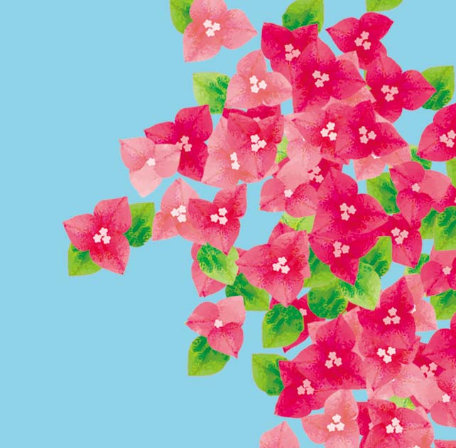 めぐろのy子 Twitter પર ブーゲンビリア ブーゲンビリア めぐろのy子 Ykomeguro イラスト 花 夏の花 元気の花 元気の花いっぱいで 世の中の不安を 吹っ飛ばせ T Co Caqwnxyjaw Twitter