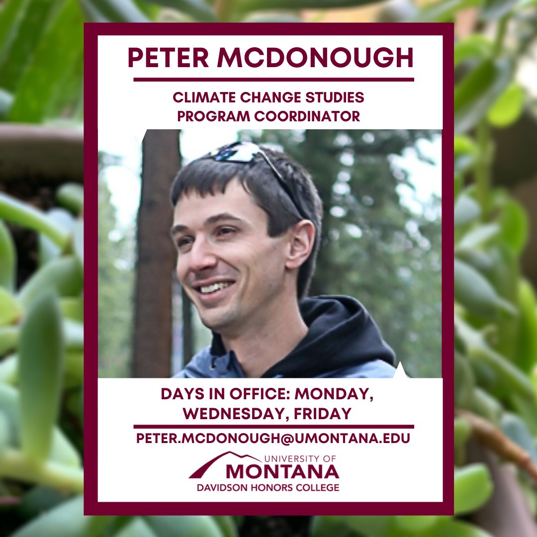 Davidson Honors College tweet media