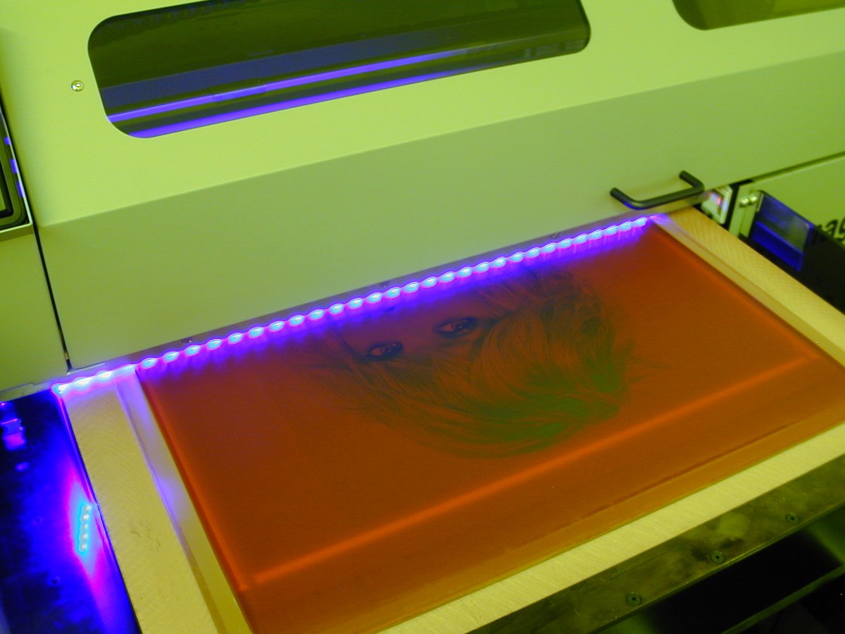 mrcompanies's tweet photo. Peek-a-boo! 🔥👻👀

#MRBlueCrew

#cts #dts #directtoscreen #computertoscreen #eyes #screenprinting #screenprint #printlife #customapparel #ink #printmakers #madeinusa #plastisol #waterbased #tshirtprinter https://t.co/lHly8J1NOp