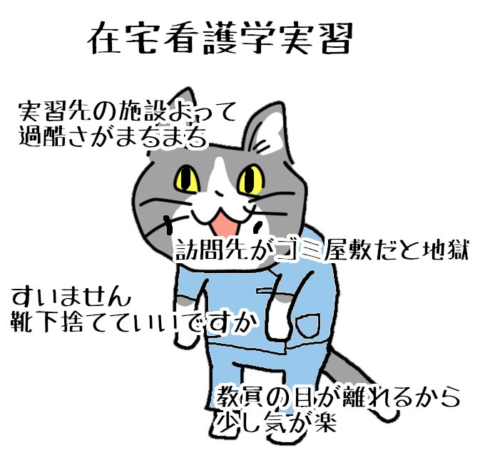 #現場猫 #看護師 #看護学生 
実習頑張ってください。でも頑張りすぎちゃだめ。 