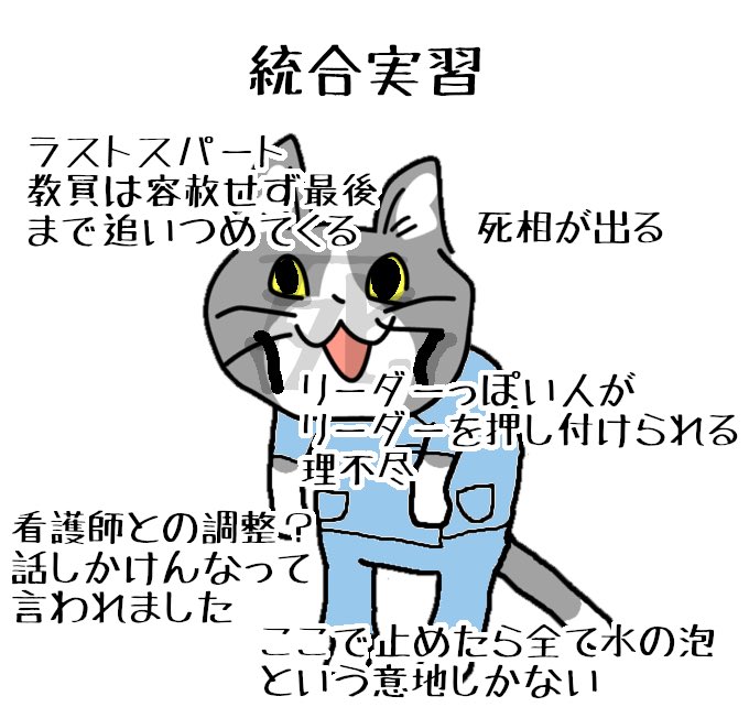 #現場猫 #看護師 #看護学生 
実習頑張ってください。でも頑張りすぎちゃだめ。 