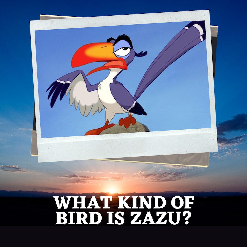 Mufasa's loyal assistant is a... #TheLionKing