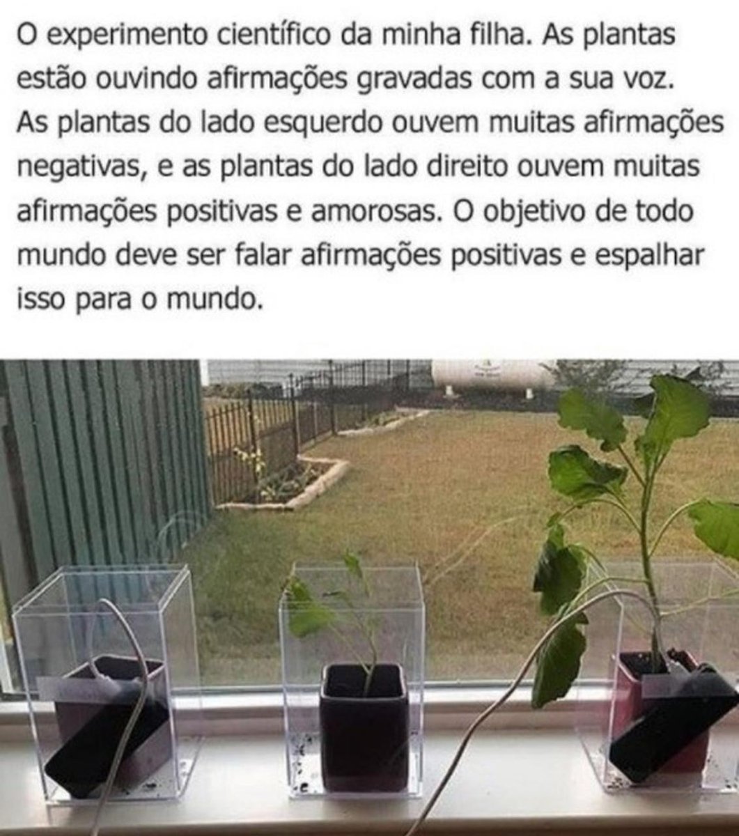 geraldoarufino's tweet photo. É comprovado pela ciência que a positividade pode mudar a sua vida pra melhor. Esse experimento simples também pode provar isso. Ficou na dúvida se funciona mesmo, se é eficaz? Testa com você e veja a mudança que vai acontecer na sua vida, experiência própria! 😊 https://t.co/Cett3R0DGN