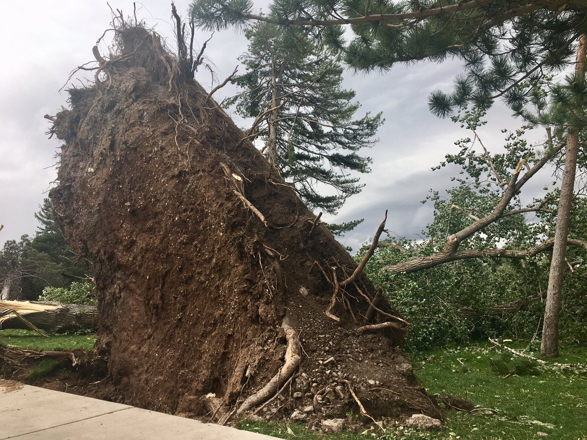 EnriqueLimon's tweet image. “We are NOT out of the woods yet!” @NWSSaltLakeCity says, adding there’s a possibility of 40-50 mph gusts through the early evening. This was the scene earlier at Liberty Park #utwx #utwind