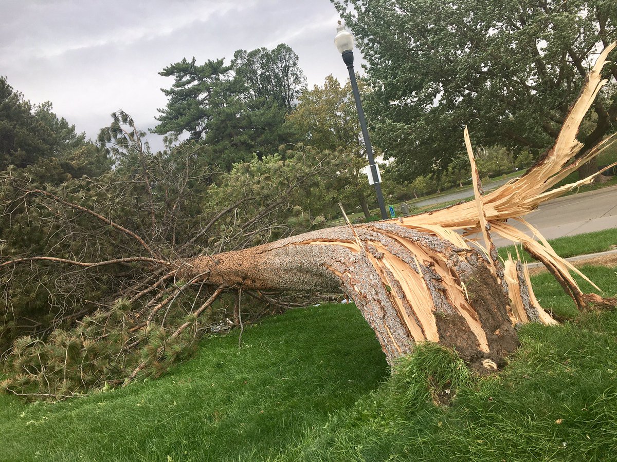 EnriqueLimon's tweet image. “We are NOT out of the woods yet!” @NWSSaltLakeCity says, adding there’s a possibility of 40-50 mph gusts through the early evening. This was the scene earlier at Liberty Park #utwx #utwind