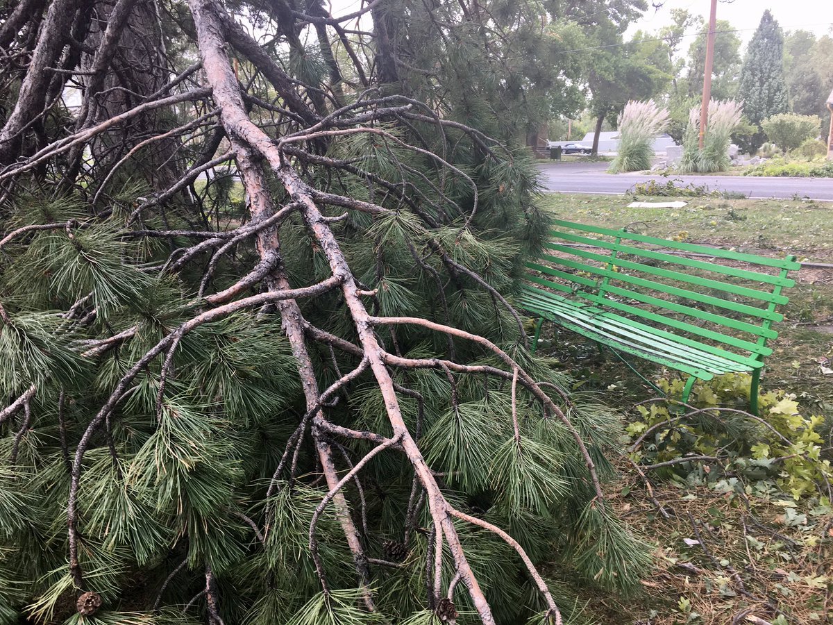EnriqueLimon's tweet image. “We are NOT out of the woods yet!” @NWSSaltLakeCity says, adding there’s a possibility of 40-50 mph gusts through the early evening. This was the scene earlier at Liberty Park #utwx #utwind