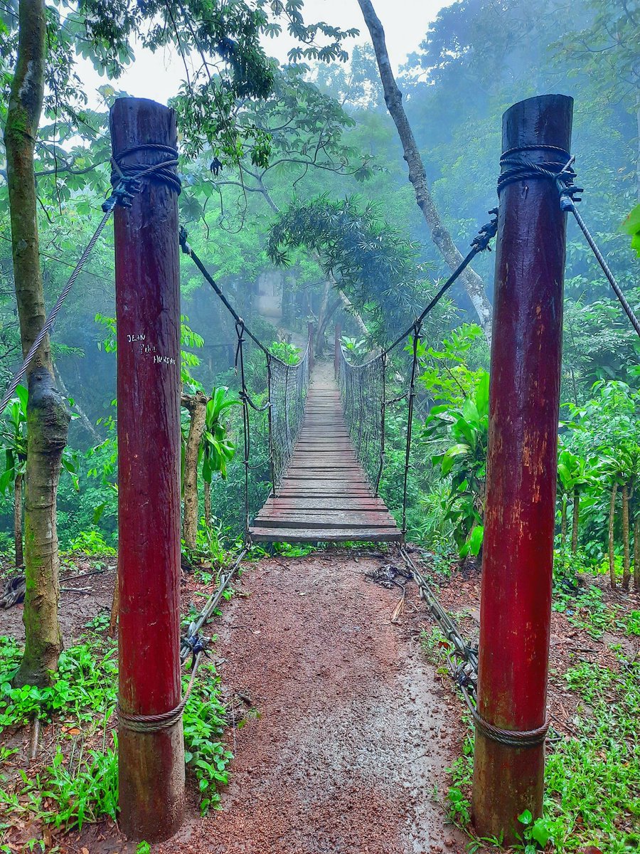 SomospuebloRev's tweet photo. 📍Este es el Sendero los Mangos🥭, un lugar que parece sacado de un cuento, donde te sentirás sumergido en el bosque con el canto de los pajaros🐦 y el sonido de los monos aulladores🐒.
Es el nuevo mirador de Catarina sin duda un lugar maravilloso que debes conocer en Nicaragua. https://t.co/8DRdgygMjT