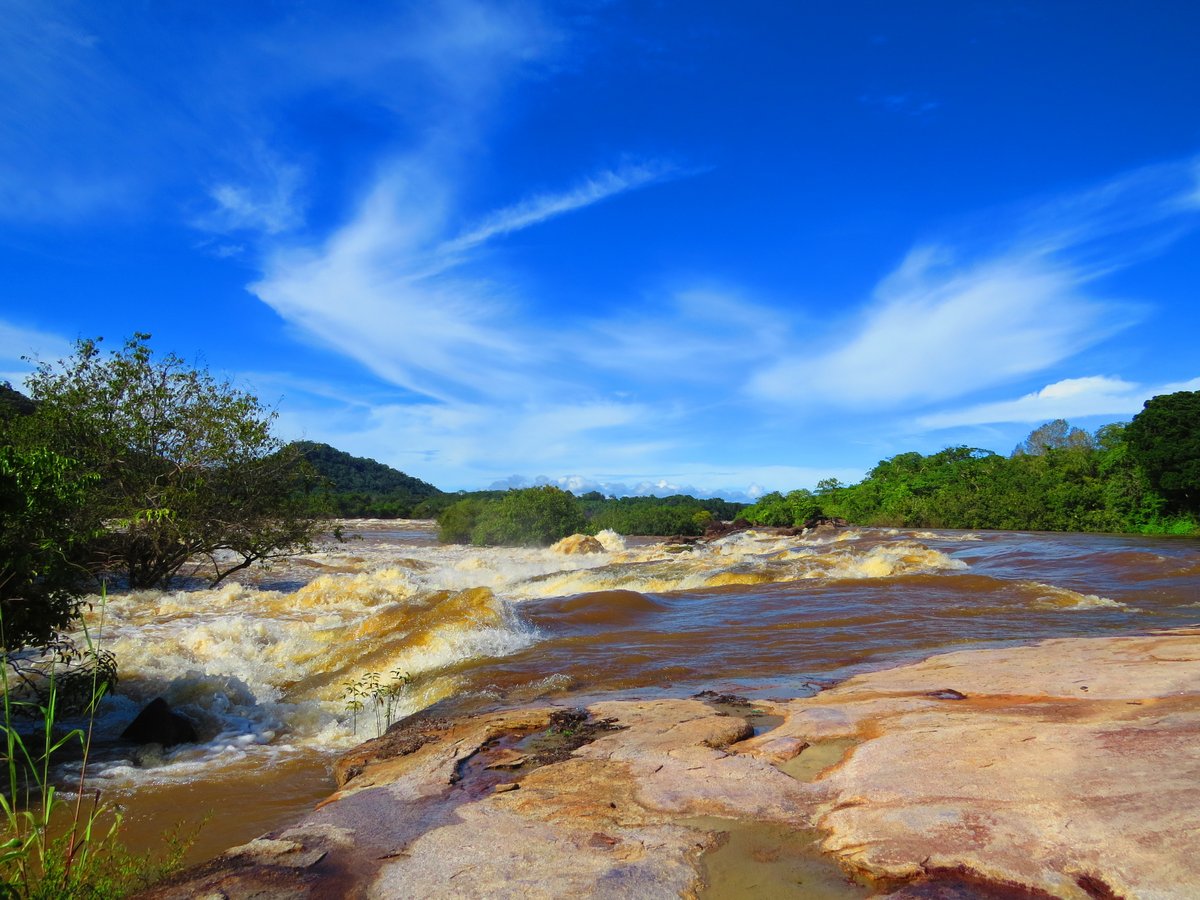 ParquesColombia's tweet photo. Los ríos en el Parque Nacional Natural El Tuparro, así como en la Orinoquia, cambian su nivel (altura) a lo largo del año, lo que favorece el ciclo de vida de las especies silvestres
#Tuparro40Años https://t.co/feqSR1k8QI
