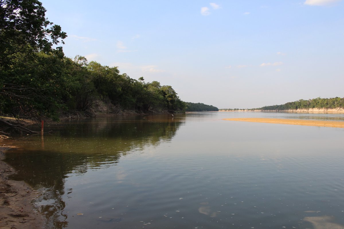 Los ríos en el Parque Nacional Natural El Tuparro, así como en la Orinoquia, cambian su nivel (altura) a lo largo del año, lo que favorece el ciclo de vida de las especies silvestres
#Tuparro40Años
