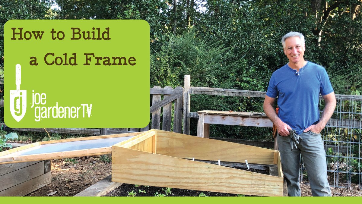 joegardener's tweet image. A cold frame can extend the growing season and keep your garden productive even into winter. In my new video, I demonstrate a quick and easy way to build an inexpensive #coldframe for your #garden with supplies you probably have on hand.
ed.gr/ctimr
#fallgardening