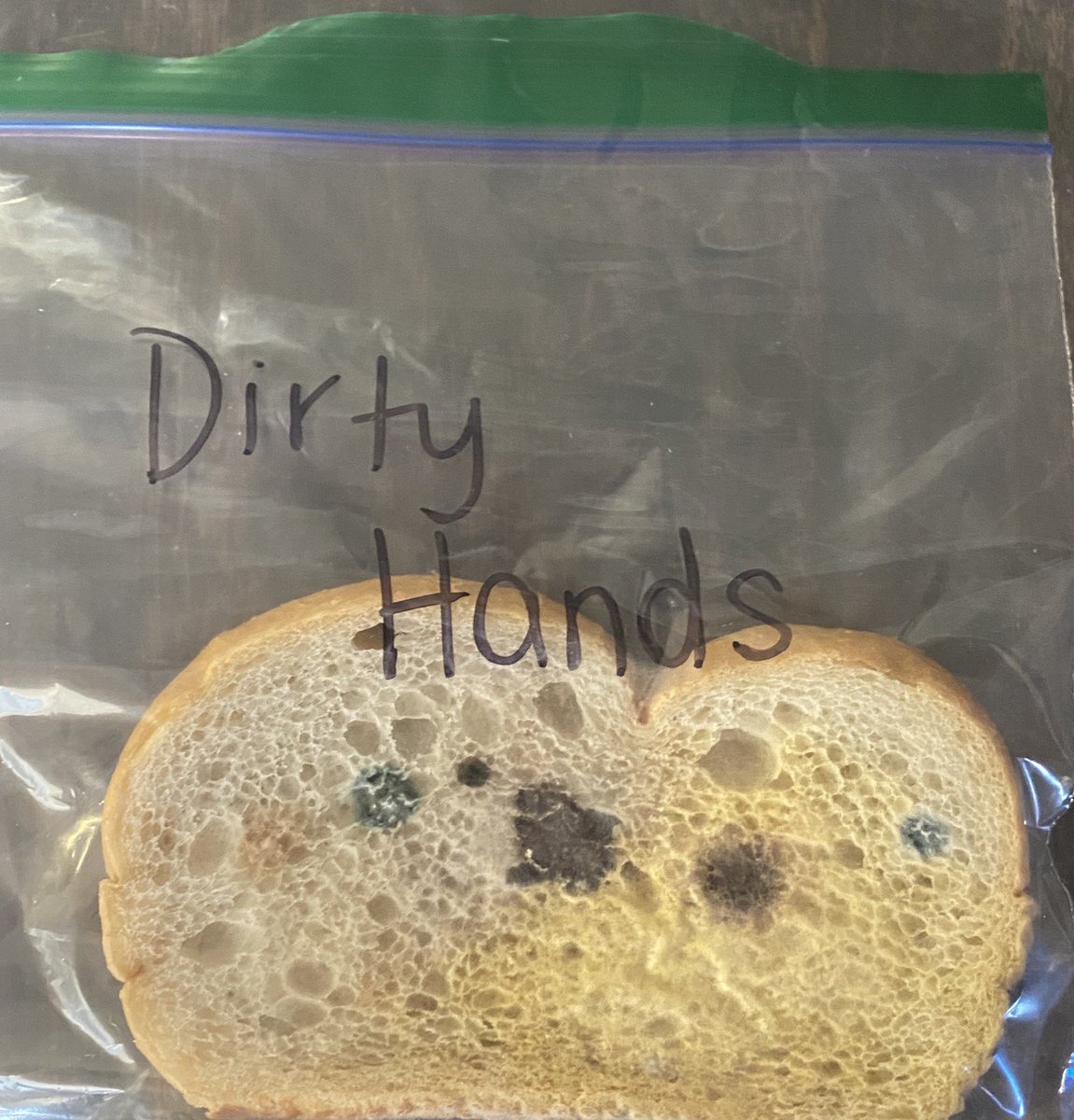 MillsLoree's tweet image. After a week, we had some results to observe and record from our bread experiment. My students agree they may never look at their computers the same again. 😊 #MrsMillsClass #vcsscience