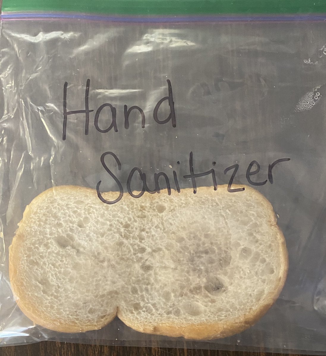 MillsLoree's tweet image. After a week, we had some results to observe and record from our bread experiment. My students agree they may never look at their computers the same again. 😊 #MrsMillsClass #vcsscience