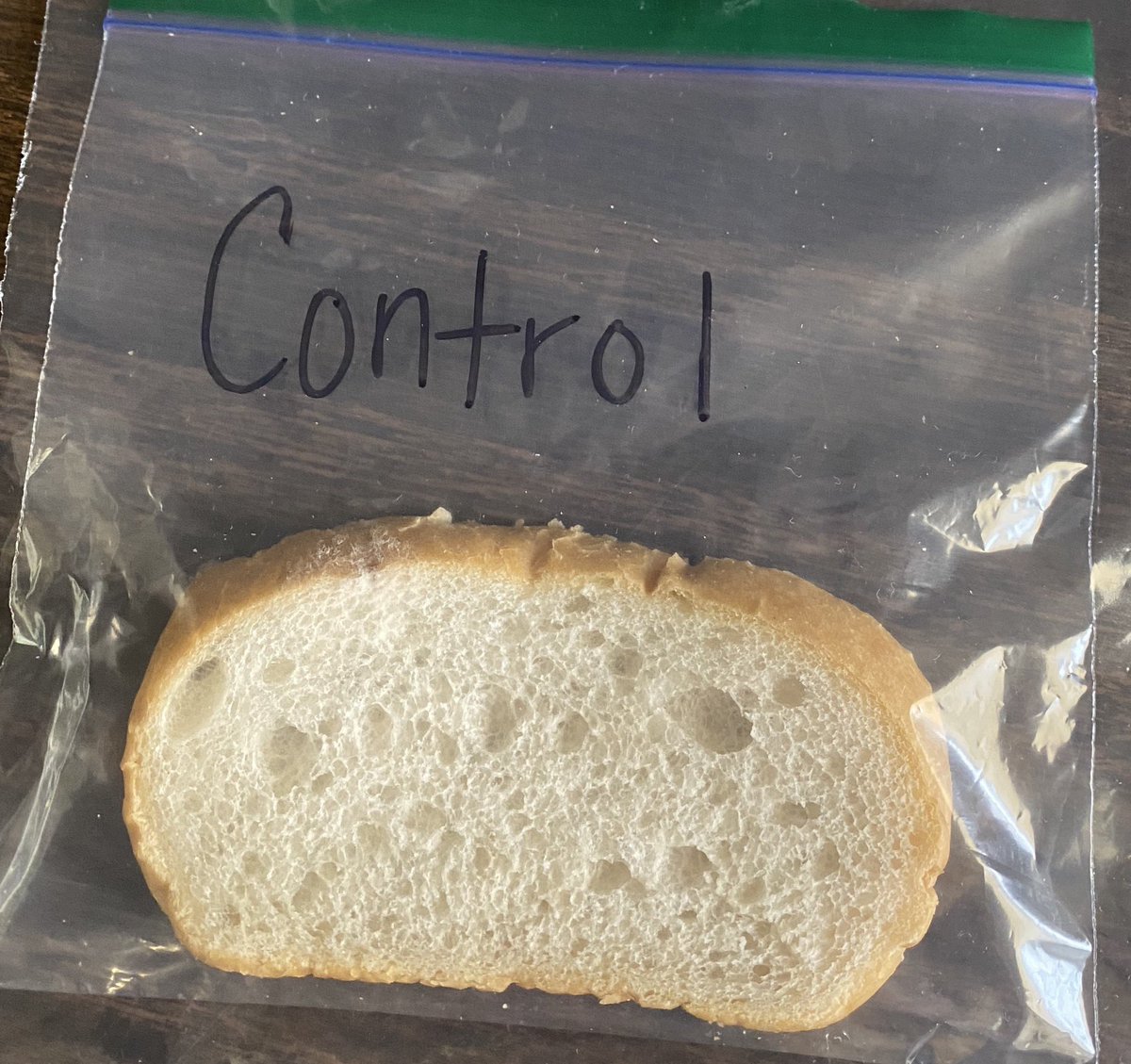 MillsLoree's tweet image. After a week, we had some results to observe and record from our bread experiment. My students agree they may never look at their computers the same again. 😊 #MrsMillsClass #vcsscience
