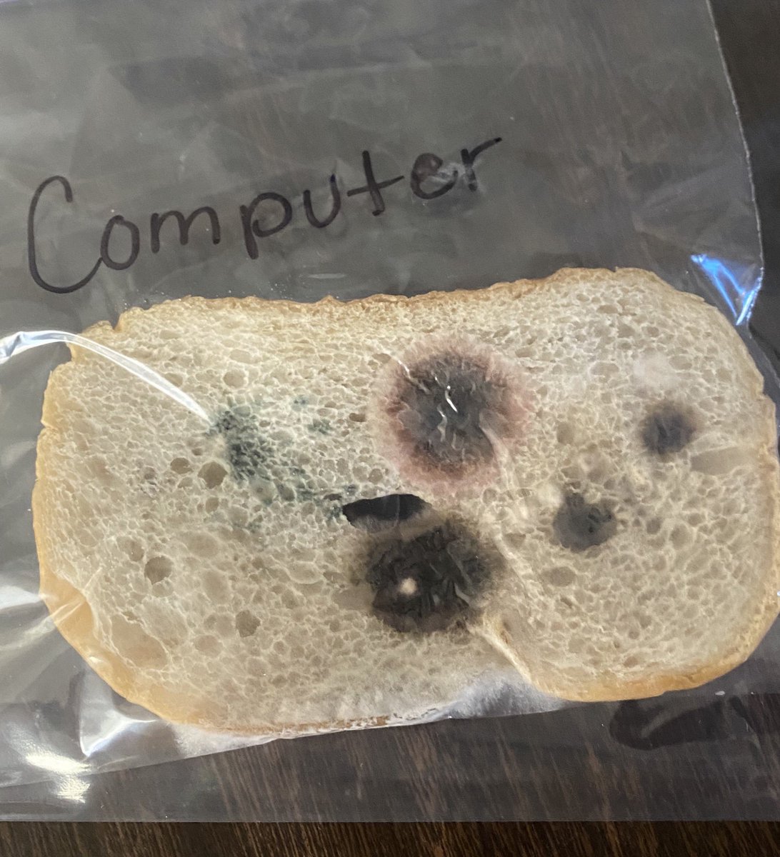 MillsLoree's tweet image. After a week, we had some results to observe and record from our bread experiment. My students agree they may never look at their computers the same again. 😊 #MrsMillsClass #vcsscience
