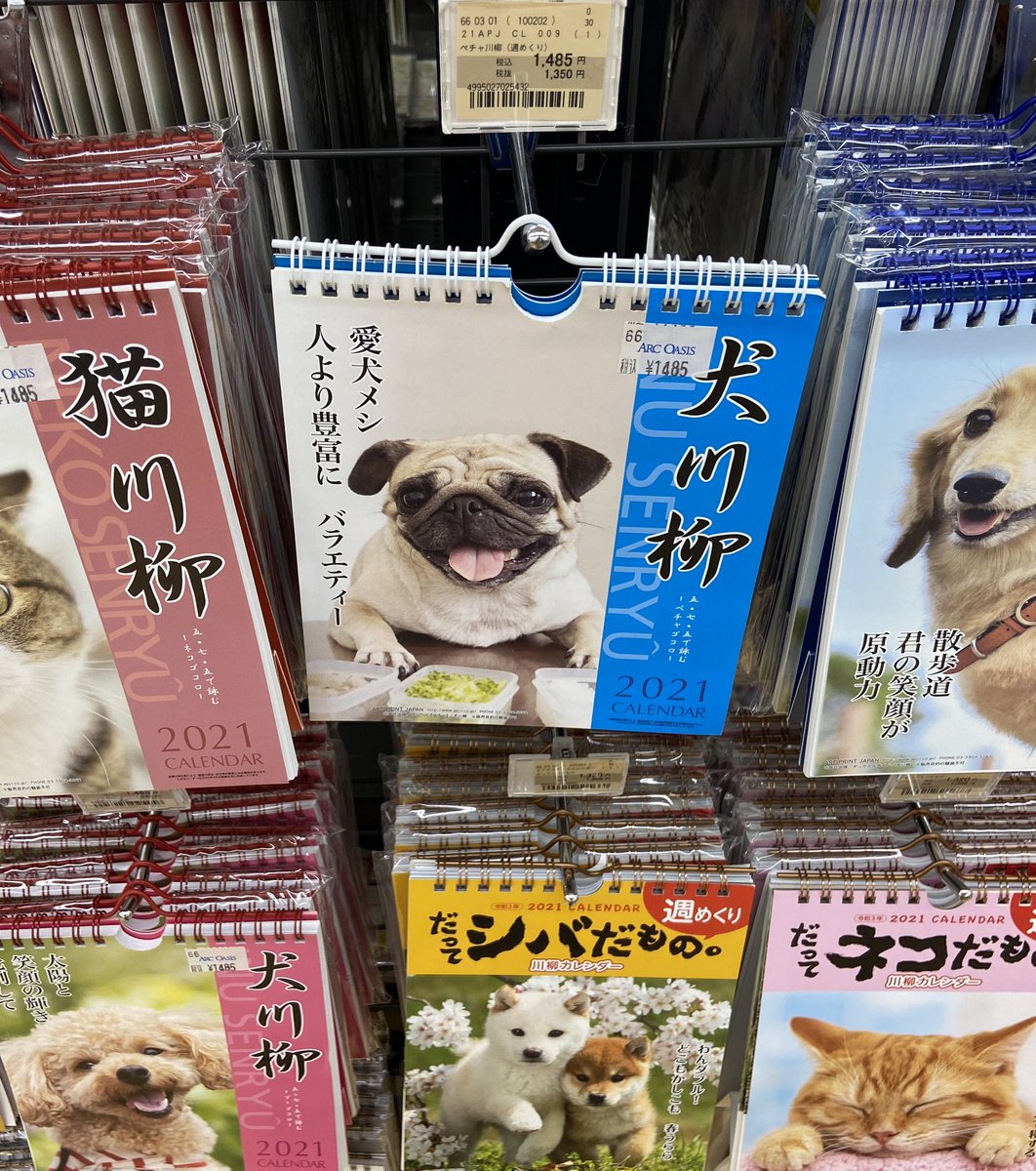 アークオアシス京都八幡店 えっっ まさかの完売 カレンダー 21年 犬川柳 ペチャ川柳