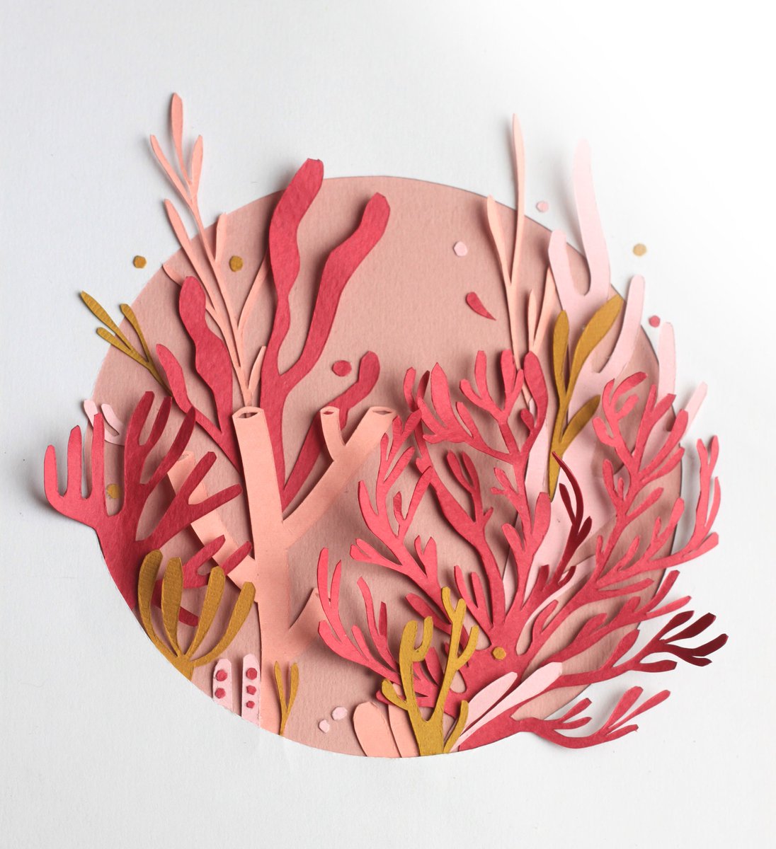 Kauri Paper Studio tweet media