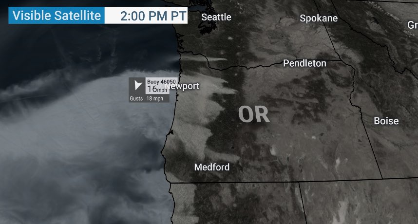 StephanieAbrams's tweet photo. View from a buoy off the Oregon coast!!! H/t @JessicaArnoldy https://t.co/dOcOAkPoPM