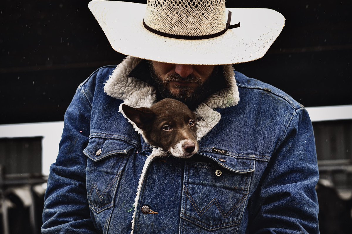 MandyCottrell's tweet photo. New puppy photoshoot? I think YES https://t.co/lnxQFPIcmK